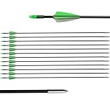 biubiusot 12er Pfeile für Bogenschießen 31 Zoll Bogenpfeile Jagdpfeile Pfeile Übungspfeile...