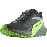 Salomon Herren Sense Ride 5 Traillaufschuhe, Black Laurel Wreath Green Gecko, 44 EU