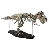 27 ’Simulation Dinosaurier Skelett Figur PVC Model Sammler Tyrannosaurus Dino Interaktive...