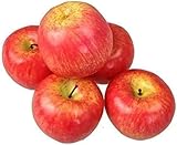 GMMH Künstlicher Deko Apfel, 5 Stück (Rot, 20-40 g/St) Lebensechtes Plastikobst, Plastikfrucht,...