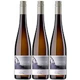 Schwedhelm Riesling Zellertal Weißwein Wein trocken QbA Deutschland I Versanel Paket (3 x 0,75l)