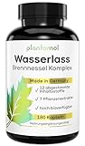 WASSERLASS - 6fach Komplex! Brennnessel Kapseln hochdosiert - 820mg Brennnesselblatt-Extrakt 10:1 +...