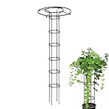 Garten Rankgitter für Kletterpflanzen | Vertikale Blumenstütze,Vertikales Gartendesign Mit Metall...