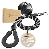 Pfotenglanz Hundeleine Leine reflektierend mit Sicherheitskarabiner 180 cm Lange Laufleine für...
