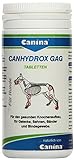 Canina Canhydrox Gag Tabletten, 1er Pack (1 x 0.1 kg)