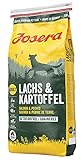 JOSERA Lachs & Kartoffel (1 x 15 kg) | getreidefreies Hundefutter | Lachsprotein als einzige...