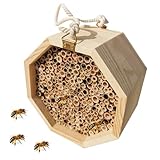 Tragbares Bienenhotel – Bienenstock-Spielzeug aus Holz | Buddy Wildinsektenhotel | Holzbienen...