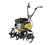 TEXAS Gartenfräse Motorhacke Bodenhacke Bodenfräse Rasenfräse Pflug Benzin mit Antrieb Lilli...