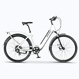 Varstrom Elektrofahrrad für Erwachsene 250W 55N.m 29 Zoll E-Bike Cityrad mit HeckMotor 100 km...