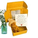 Pock-et Hug Positive Mini-Te-ddybär, Bär In Einer Box, Sorgenbär, Mini-Plüsch Figuren Lustige...