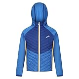 Regatta - Kielder Hybrid VII Steppjacke für Kinder (146-152) (Blau/Königsblau)