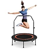 Fitness Trampolin mit Haltestange, Trampoline mit Klappfunktion, Durchmesser 100 cm, Leise, Gute...