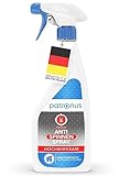 Anti Spinnen-Spray für Spinnen-Abwehr 500ml - maximale Sofortwirkung [POWER WIRKSTOFF] - schnell &...