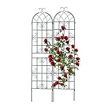 Relaxdays Rankgitter, 2er Set, Metall, HxB 220 x 50 cm, freistehende Rankhilfe für Kletterpflanzen,...