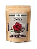 Biojoy BIO-Nelken ganz (250 g), getrocknet Gewürznelken, ohne Zusätze (Syzygium aromaticum)