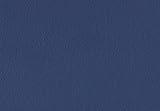 Volvox | Espressivo Lehmfarbe | Bunttöne 3 | Biofarbe | 2,5 Liter | 20 m² (nachtblau | 250)