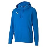 PUMA Herren Teamgoal 23 Causals Hoody Pullover, Electric Blue Lemonade, L EU