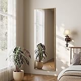 Koonmi Ganzkörperspiegel, 35x122cm Wandspiegel mit 2 höhenverstellbaren Hängehaken, Hängespiegel...