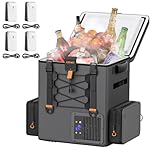 Litheli FrozenPack Akku Kühlbox tragbare Auto Kühltasche 20L, 12/24V 100/240V Rucksackkühlschrank...