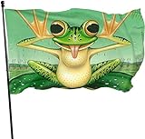Flagge 150x90cm Outdoor Windward Fahne Lebendiges Farbbanner Gartenflagge Lustiger Frosch Dekorative...