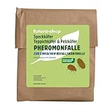 Futura-Shop Pheromonfalle für Teppichkäfer & Pelzkäfer | Klebefalle mit natürlichem Lockstoff...