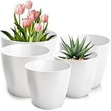 PECZEKO Blumentopf matt, 5er-Set blumenkübel, 12/14/16/18/20 cm Pflanzkübel aus Übertopf...