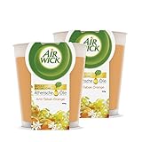 Air Wick Wohlfühl-Duftkerze im Glas Anti-Tabak – Duft: Orange – Enthält natürliche...