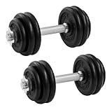 SONGMICS Hanteln, Hantelset aus Gusseisen, Kurzhanteln, 2 x 15 kg, verstellbar, Workout,...