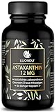 Luondu Astaxanthin 12mg Astaxanthin Hochdosiert - 90 Astaxanthin Softgel Kapseln - Astaxanthin...