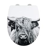 WENKO WC-Sitz Yak mit Hochglanz-Oberfläche, Toilettendeckel mit Absenkautomatik, bruchstabiler,...