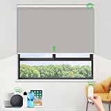 HOMEDEMO Elektrische Rollos Wiederaufladbare Verdunklungsrollo mit Motor & Fernbedienung, Grau...