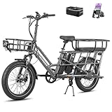 Fafrees FF20 CUV Pedelec | StVZO - 250W Motor | Modulares Familien - E-Bike | Doppelbat 140km Reichw...