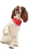 Rosewood Rotes Halstuch Hello für Hunde, gepunktet, Einheitsgröße