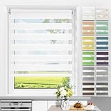 Allesin Doppelrollo Klemmfix ohne Bohren & mit Bohren, Duo Rollos für Fenster und Tür, Klemmrollo...