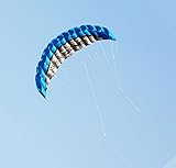 Kwasyo 2.5m Dual Line Stunt Sport Drachen mit Handgriff 30m String, Kitesurfen am Strand, Outdoor...