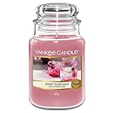 Yankee Candle Duftkerze Sweet Plum Sake | Große Kerze im Glas | Sakura Blossom Festival Collection...