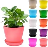 MEIYAXINWIN 10 Stück Blumentopf Klein mit Untersetzer, 10cm Pflanztopf Plastik Dekorative...