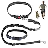 GOTDYBST Joggingleine Hunde Mit Halsband: Bauchgurt Hundeleine,Freihändig...