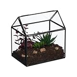 Relaxdays Pflanzenterrarium, Glas & Zinn, Deko Glashaus für Kakteen & Moos, Glaskasten für...