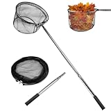 wiipara Teichkescher 155cm, Teich Kescher mit Teleskopstange, Stabil und Klappbar, Aluminium...