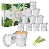 12er-Pack Citronella kerze outdoor für den Außenbereich, Duftkerzen, Duftkerzen geschenkset,...