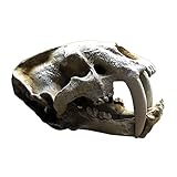Gazechimp Emulational Dinosaurier Schädelförmige Dekoration Ornament Schädel Modell Aquarium...