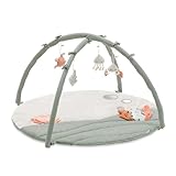 hauck Relax N Watch, Water Animals – Baby Spieldecke mit Spielbogen ab Geburt, Krabbeldecke mit...