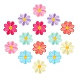 LIQWEI 14 Stück Aufbügel Patches Gänseblümchen, Bunt aufbügelflicken Gänseblümchen Patches...
