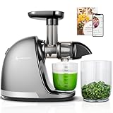 AMZCHEF Entsafter Gemüse und Obst Testsieger - Entsafter Slow Juicer mit Rückwärts-Kau-Funktion -...