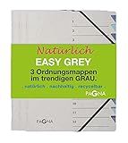 Pagna 44008-00 Ordnungsmappenset 12 Fächer Easy Grey sortiert 3 Stück