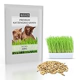 Naturlie XXL 200g Premium Katzengras Samen Set: Saatgut für 80 Töpfe fertiges Katzengras - Saatgut...