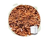 Warnick´s Tierfutterservice Naturhäppchen - Bachflohkrebse, Gammarus 5.000 ml im Eimer -...