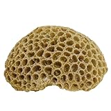 Nobby Aqua Ornaments Koralle 10,8 x 9 x 5 cm