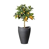 Scheurich Wave Globe High, Hochgefäß aus Kunststoff, Schwarz-Granit, 29,8 cm Durchmesser, 40 cm...